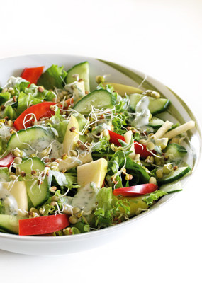 Ābolu, gurķu un zaļo lapu salāti dīgstu ielenkumā