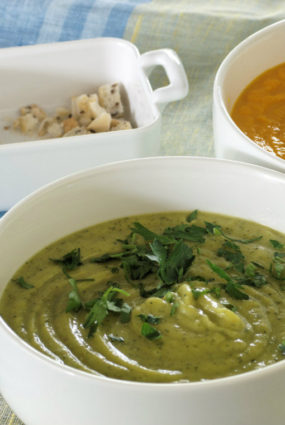 Pavasara dārzeņu biezzupa