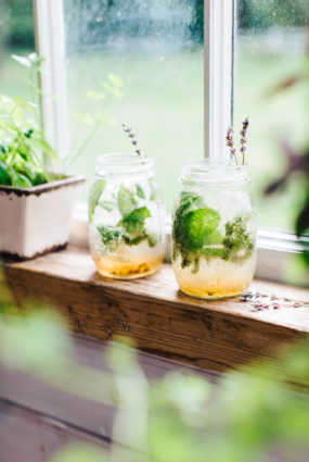 Lavandas mohito