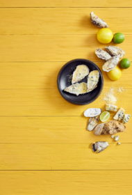 Ceptas austeres ar zilo sieru