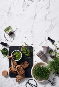 Mikrozaļumu pesto