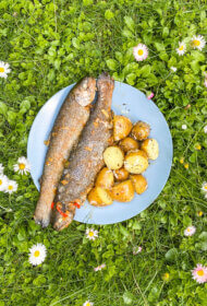 Uz grila tvaicēta forele Kimchi marinādē  ar jaunajiem kartupeļiem “Mexican corn style”