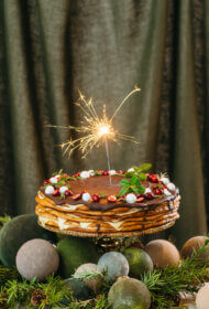 Medus kūka ar lielogu dzērvenēm medū