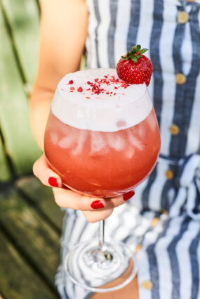 ZEMEŅU GIN FIZZ AR PAŠGATAVOTU SĪRUPU